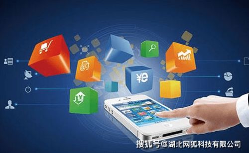 湖北网狐科技 电商App开发如雨后春笋，细分行业如何抢占商机