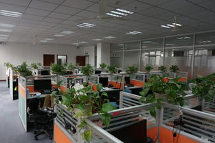 看准网 技术驱动下的网络科技开发与运营